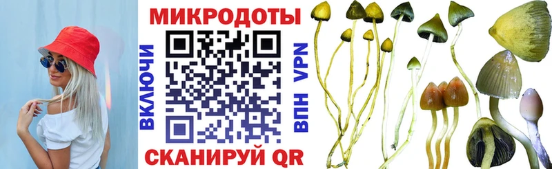 Псилоцибиновые грибы Psilocybe  Холмск 